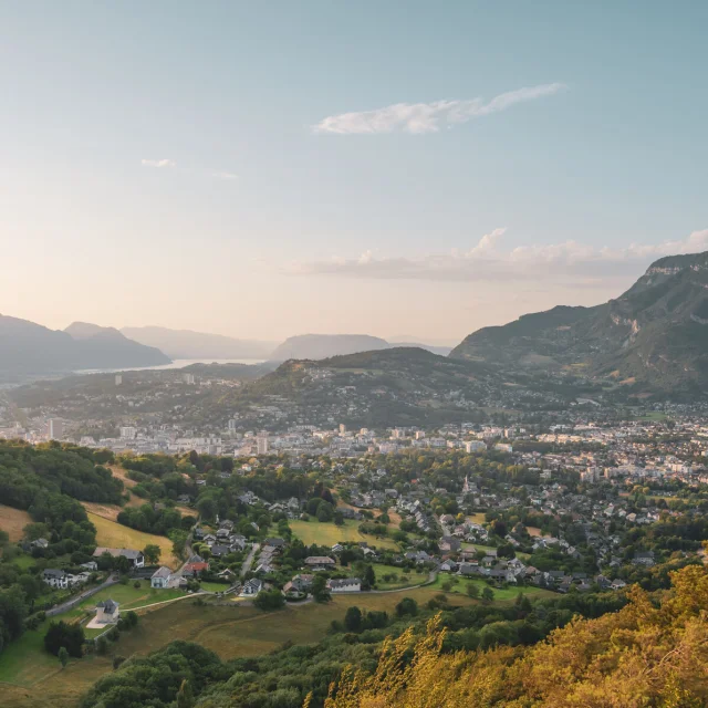 Acquista foto - Matthias