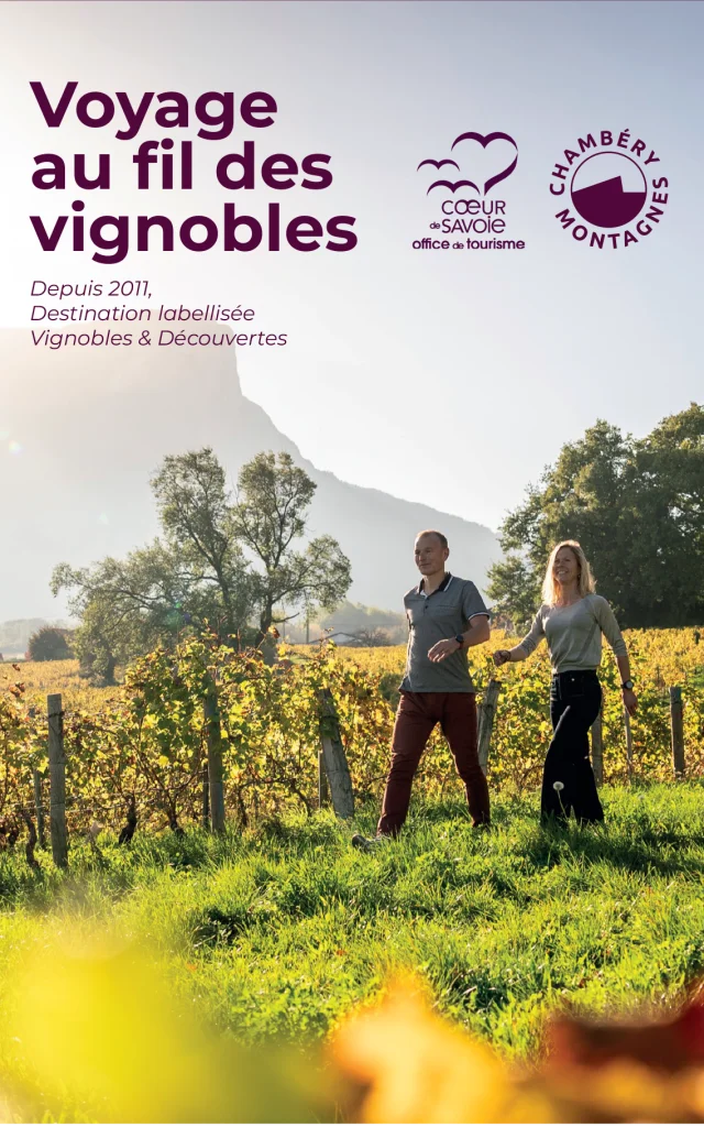 Plan Voyage Vignoble 2025