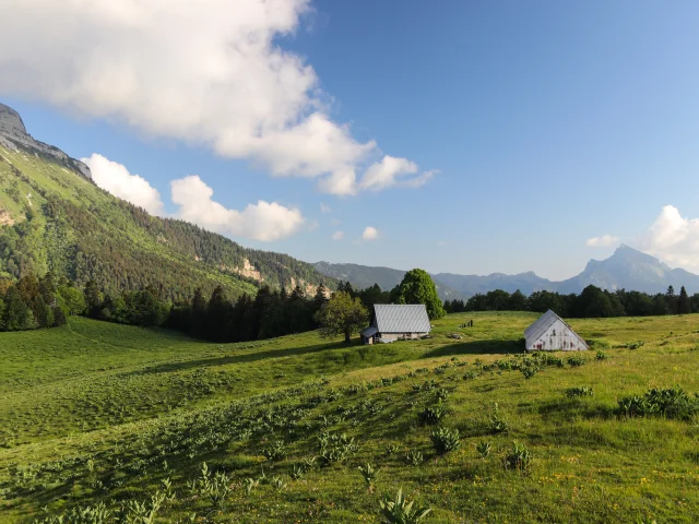 Emeindras Paysage A Villecourt Chartreuse Tourisme