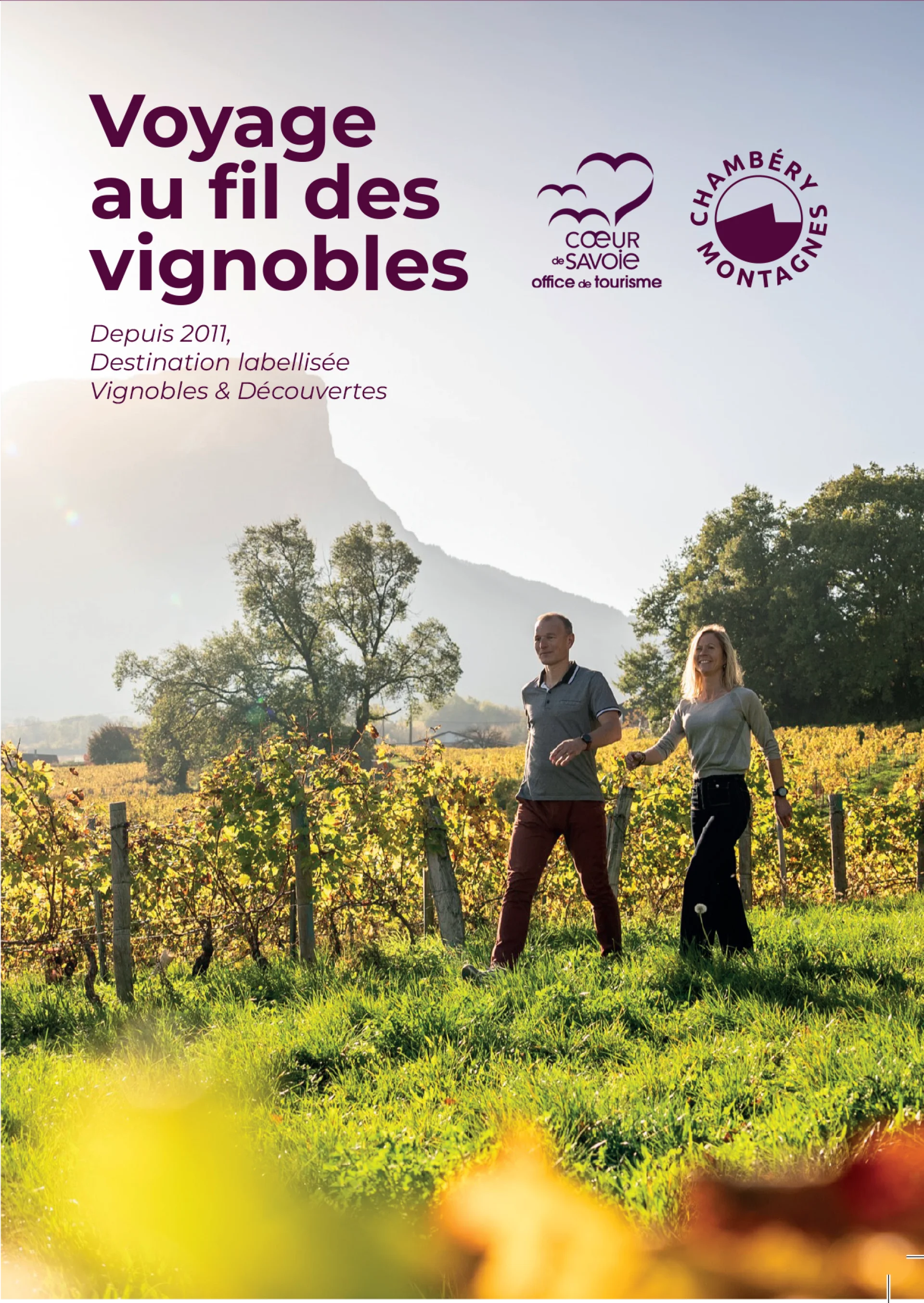 Voyage au fil des vignobles