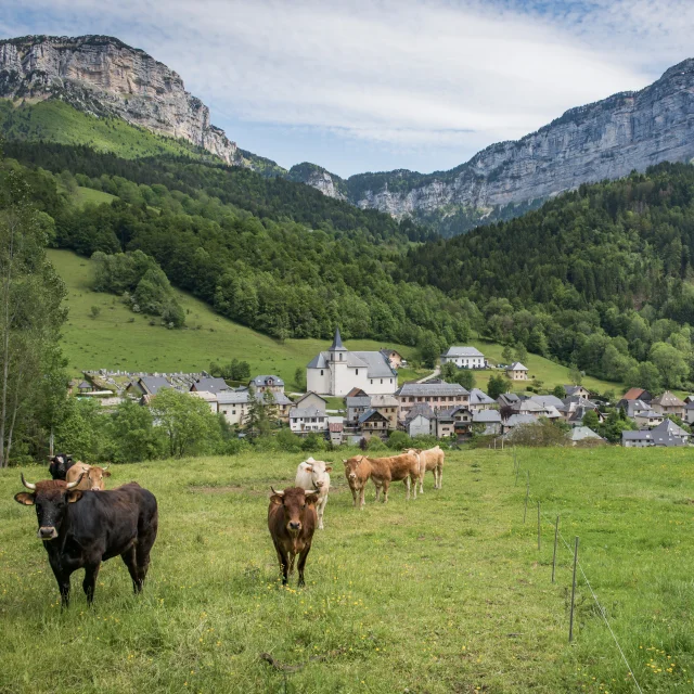 Saint Pierre Entremont 2019 06 04 080 Dsc 8830 Copyright Bruno Lavit 1