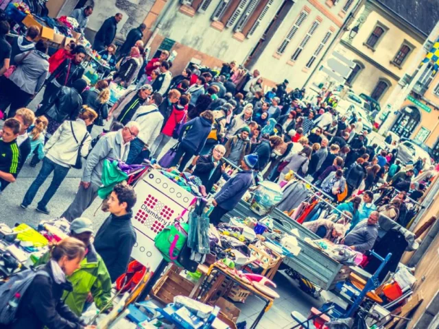 Apidae 8733866 8494990 1024x683 1