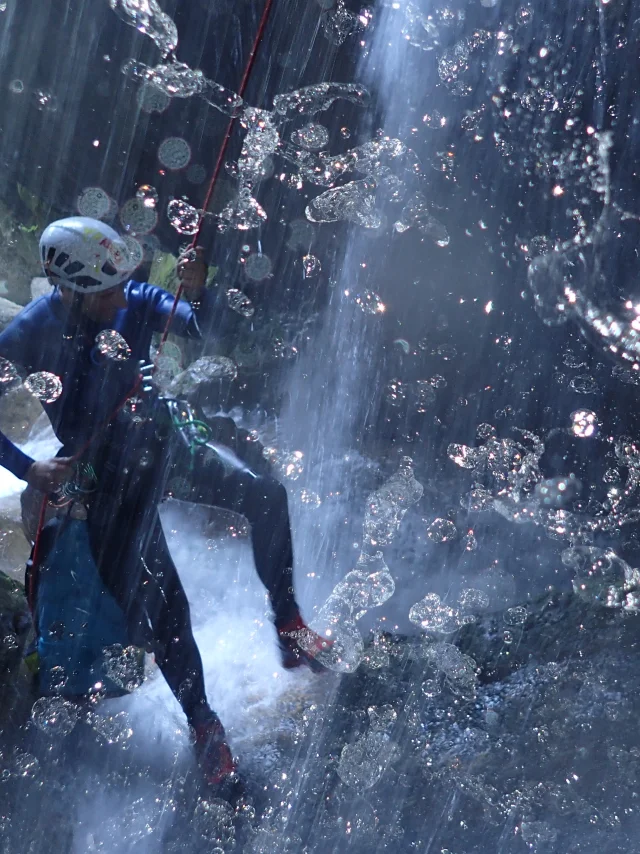 OLYMPUS DIGITALE CAMERA