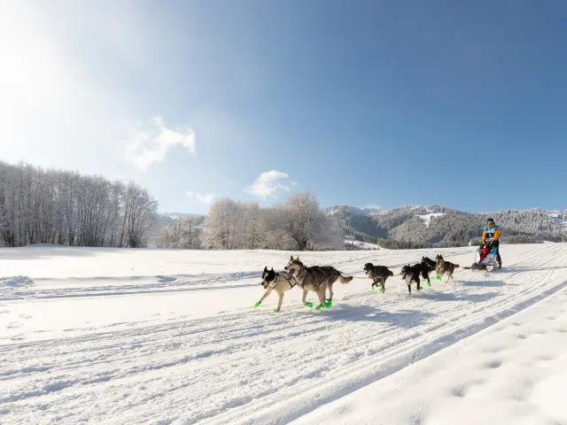 La Grande Odyssée Royal Canin 2026 - Savoie Grand Revard, Chambéry Montagnes
