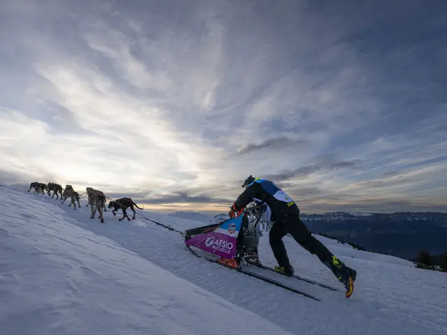 La Grande Odyssée Royal Canin 2026 - Savoie Grand Revard, Chambéry Montagnes
