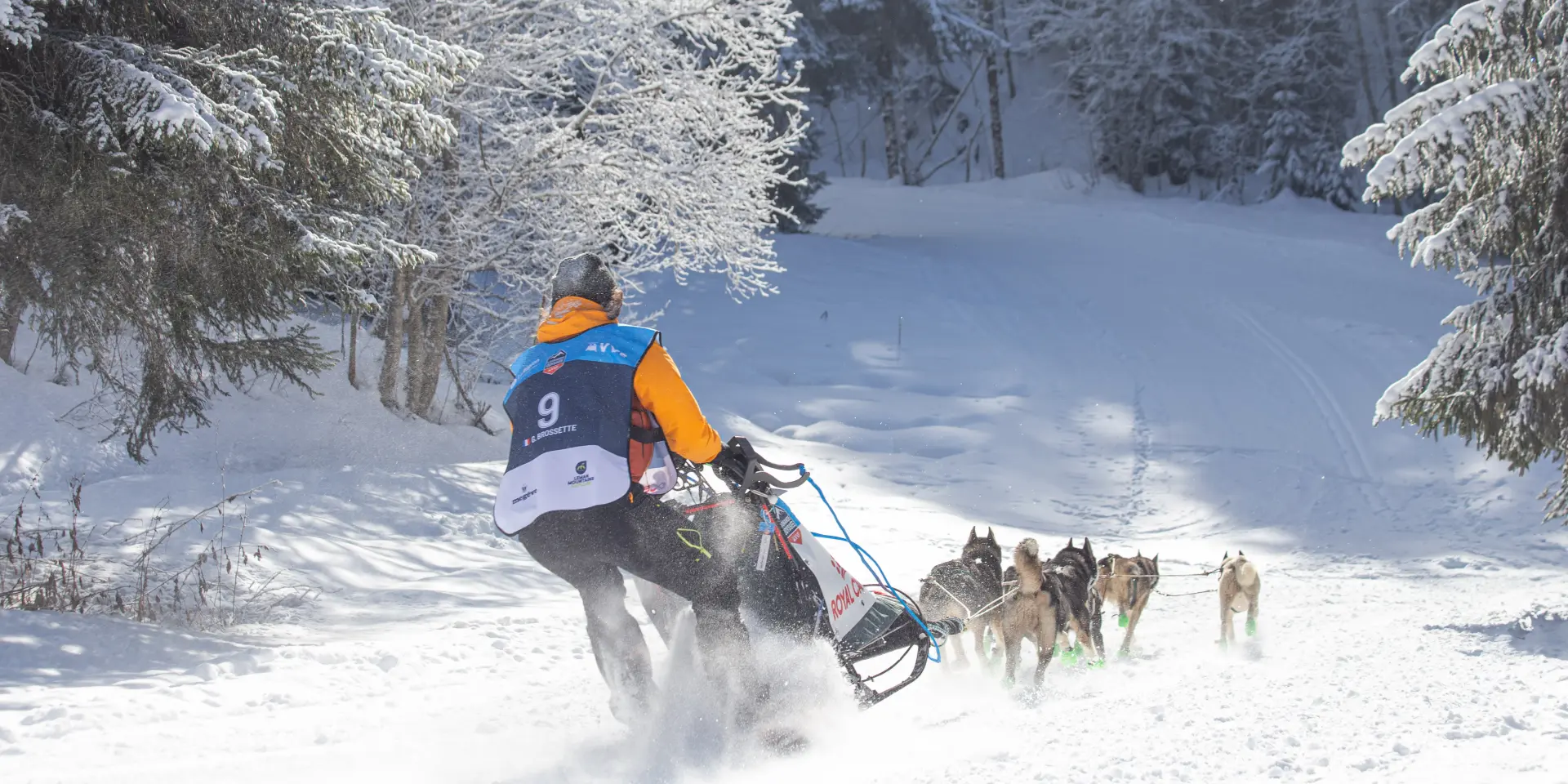 La Grande Odyssée Royal Canin 2026 - Savoie Grand Revard, Chambéry Montagnes