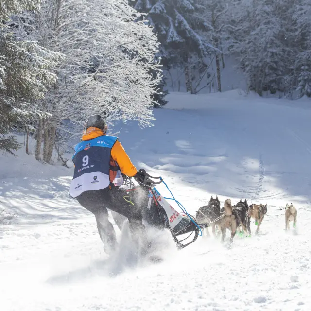 Lgo25 pers 12012025 Fx Repellin 10