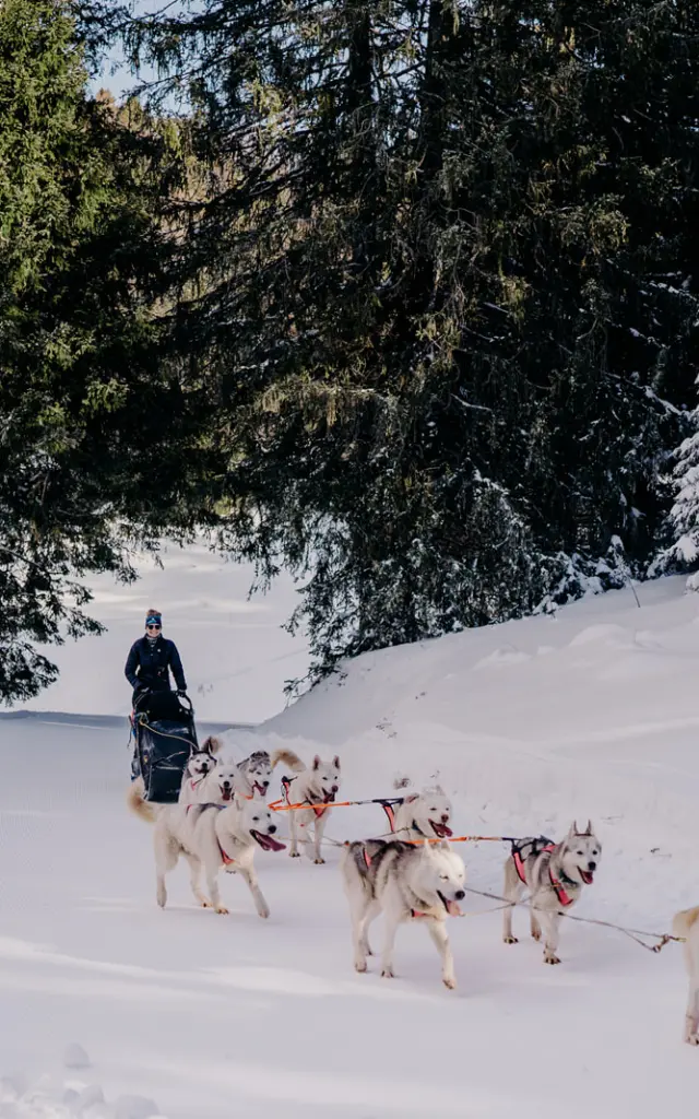 AIX RIVIERA DES ALPES - Ecole Mikia