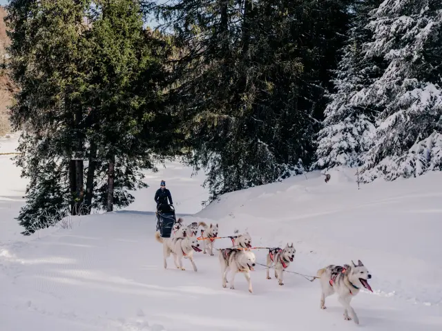 AIX RIVIERA DES ALPES - Ecole Mikia