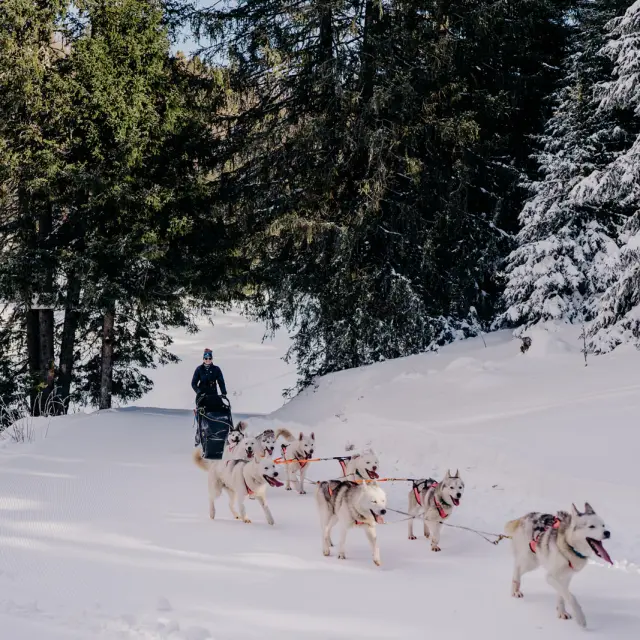 AIX RIVIERA DES ALPES - Ecole Mikia