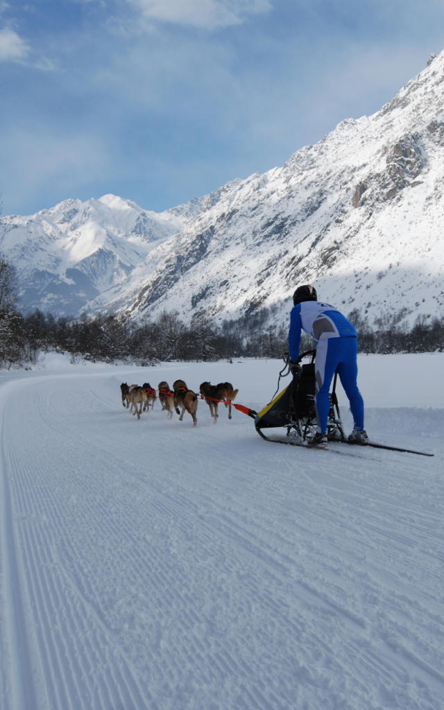 Chiens de traîneaux dans le Valgaudemar