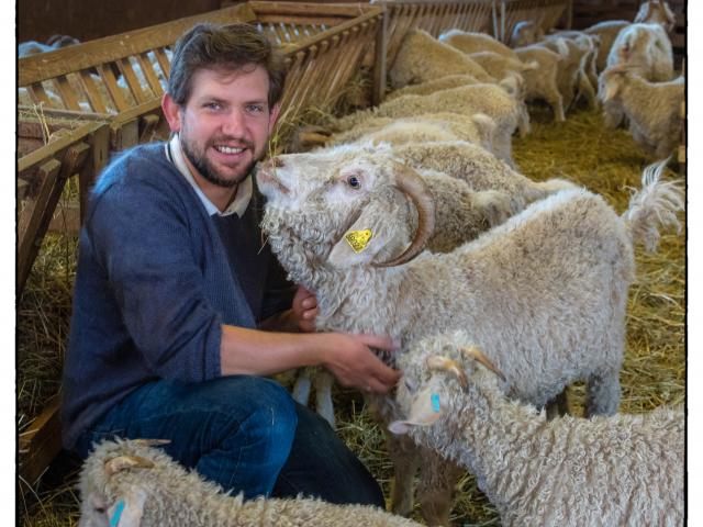 Hautes-Alpes (05), Vallée du Champsaur, St Laurent-du Cros, Le Mohair des Fermes de France, élevage de chèvres angoras, exploitation et produit de la laine mohair en pelote, tricotée ou tissée, Gabriel Amar // Hautes-Alpes (05), Valley of Champsaur, St Laurent du Cros,  Mohair des Fermes de France, raising angora goats, operation and produces mohair wool ball, knitted or woven, Gabriel Amar
