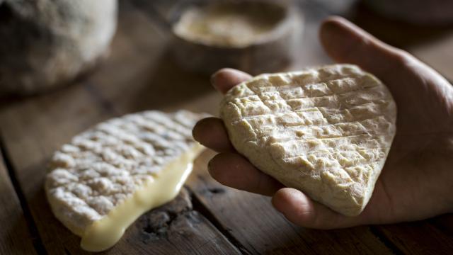Hautes-Alpes (05), Vallée du Champsaur, Saint-Bonnet-en-Champsaur, L'Aulagnier, Ferme de Coste Joffre, Fromages fermiers au lait cru, vache et chèvre, Marie-Ange Eyraud et Axel Quéméré  // Hautes-Alpes (05), Champsaur valley, Saint-Bonnet-en-Champsaur, The Aulagnier, Farm Coste Joffre, farmhouse cheeses from raw milk, cow and goat, Marie-Ange Eyraud and Axel Quéméré