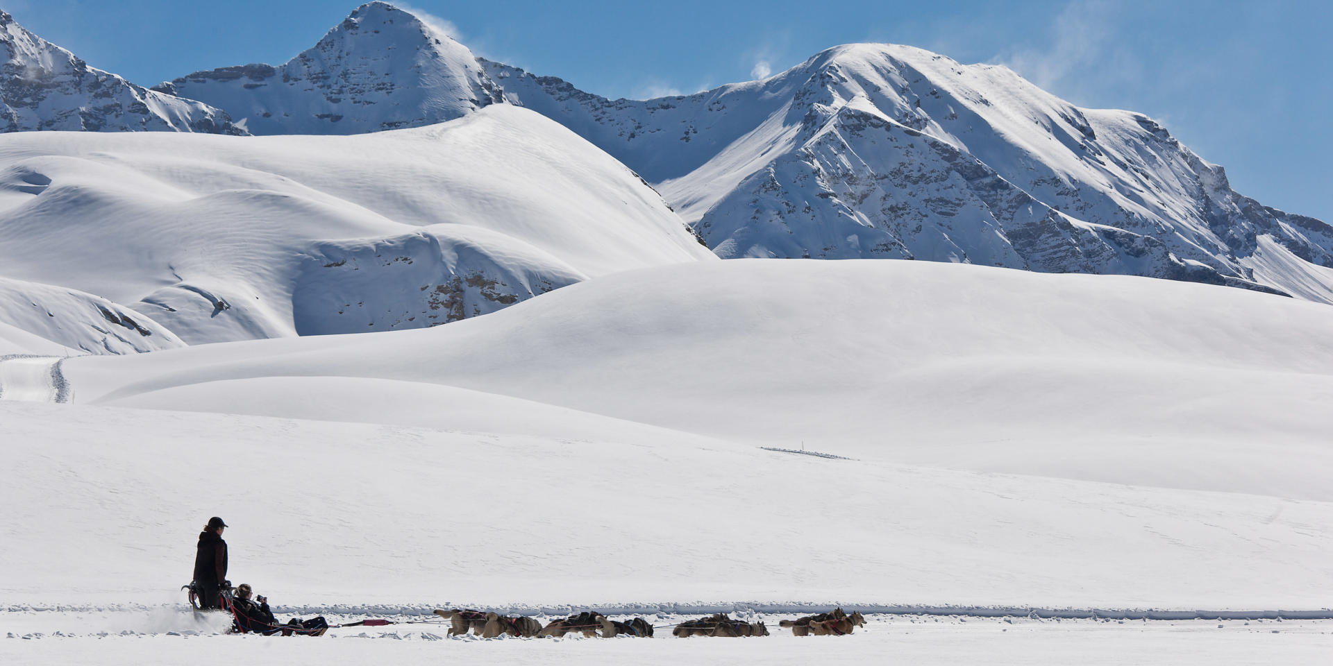Station de ski Orcières 1850, vallée du Champsaur, Hautes-Alpes; 05 Village nordique de Williwaw, partez pour une balade à la tête dun attelage, ou dans le traîneau du meneur de chien (musher) pour glisser sur les pentes douces des haut plateaux daltitudes de Rocherousse.