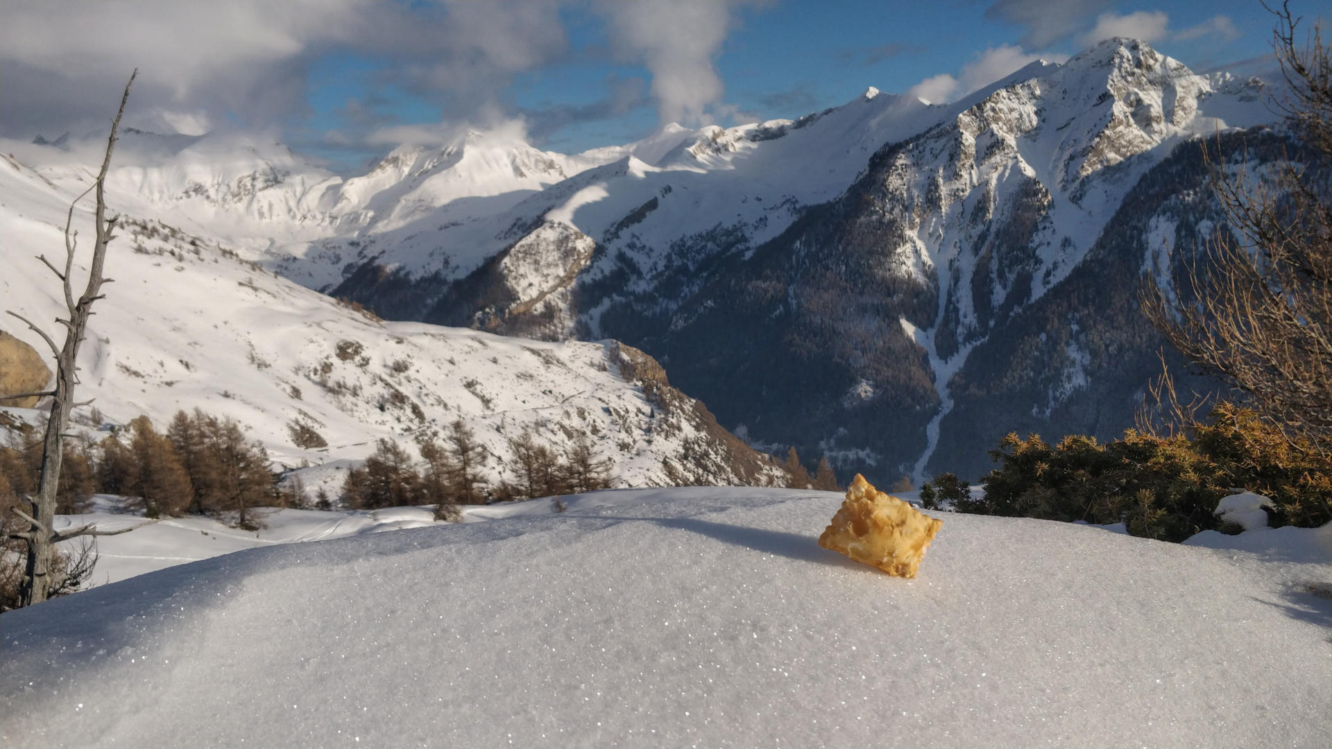 Le tourton | Champsaur Valgaudemar - Office de tourisme
