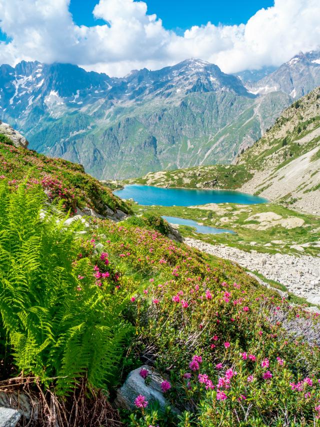 Vue du lac