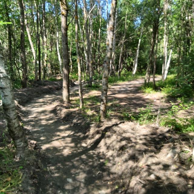 Piste VTT ludique à Pont du Fossé