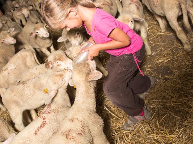 Visite De Ferme