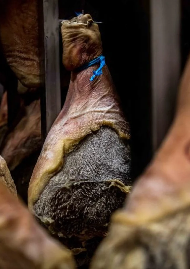 Jambon cru dans le séchoir des salaisons du Champsaur