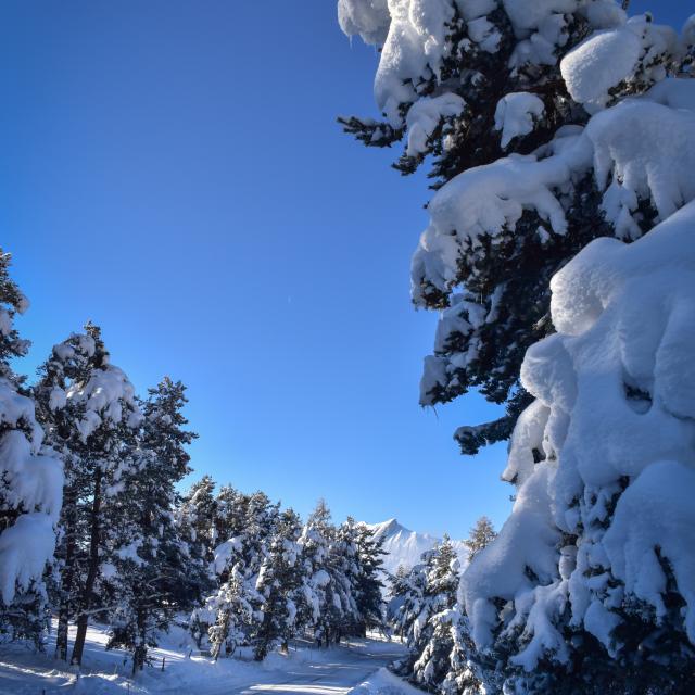 Route Des Combes Enneigées 1