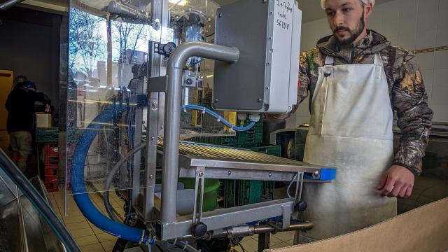 Production de sève de boulot