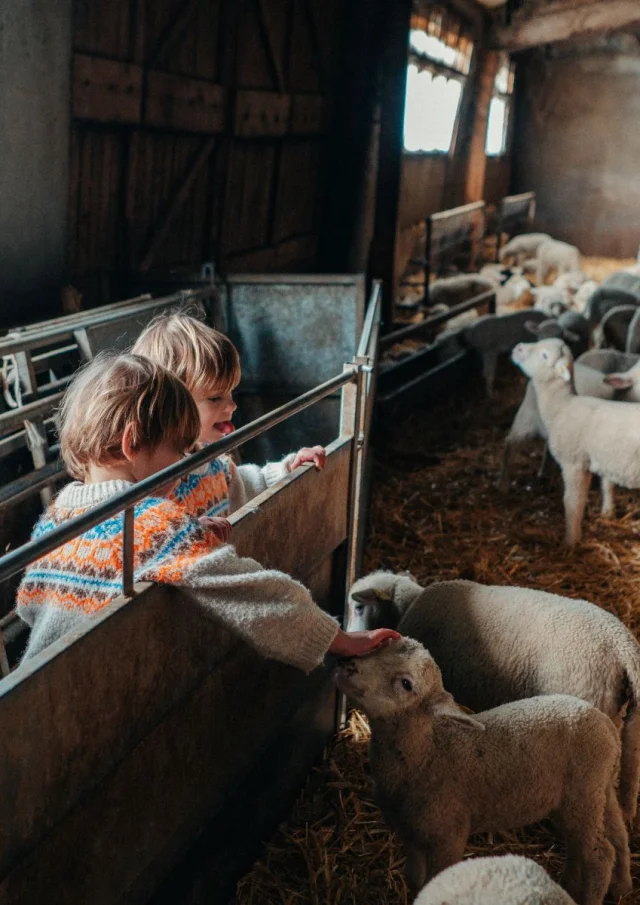 Visite de ferme du Caïre