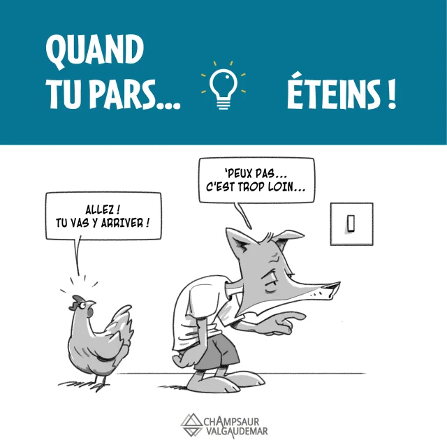 Eco Renard Lumiere