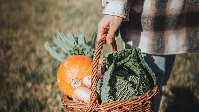 Panier de légumes Champsaur Valgaudemar