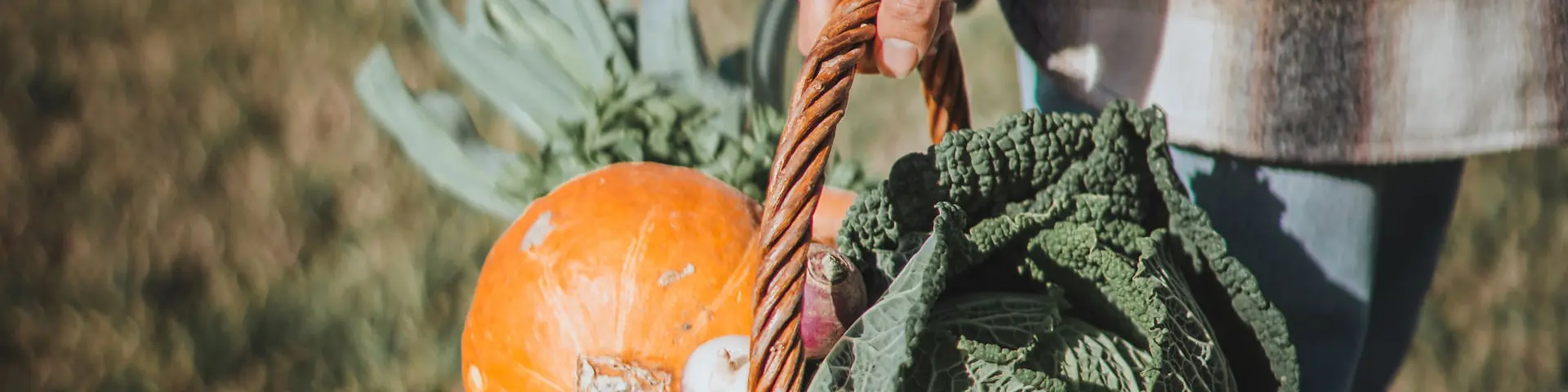 Panier de légumes Champsaur Valgaudemar