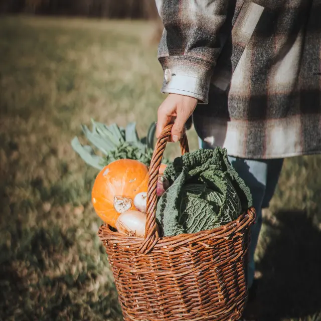 Panier de légumes Champsaur Valgaudemar