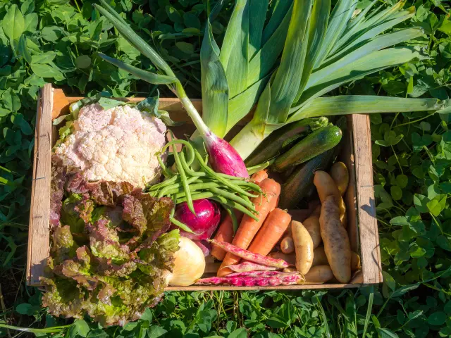 Hautes-Alpes (05), Vallée du Champsaur, St Laurent du Cros - Le Cros, Production de fruits et légumes de saison - Maraîchage en agriculture raisonnée, Jérôme Lafont // Hautes-Alpes (05), Champsaur Valley, St Laurent du Cros - Le Cros, Production of seasonal fruits and vegetables - Market gardening in rational agriculture, Jérôme Lafont