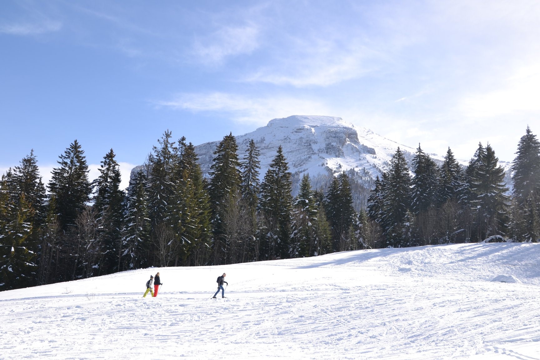 Le Col de Porte | Site Officiel de la Chartreuse en Savoie et Isère, au ...