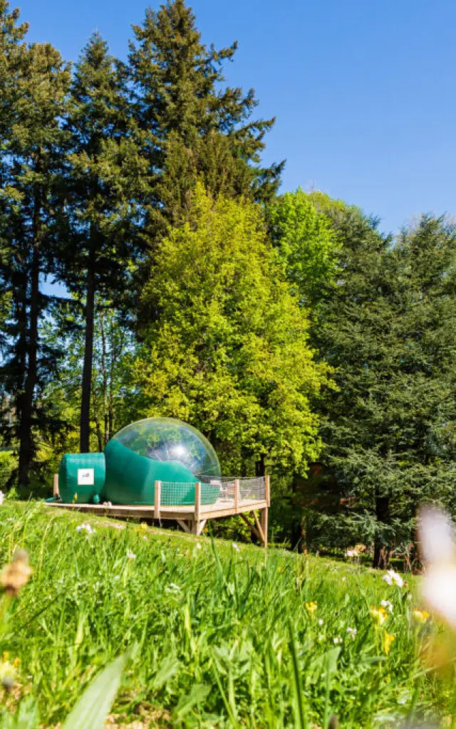 Bulles Insolite Chartreuse