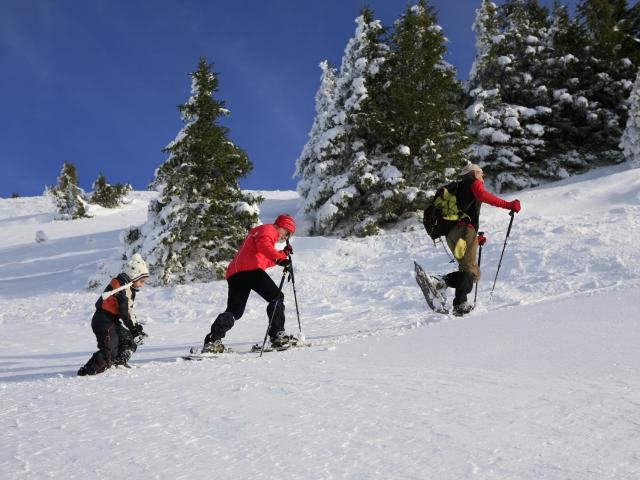 Arpenteur Chartreuse (57) Hd