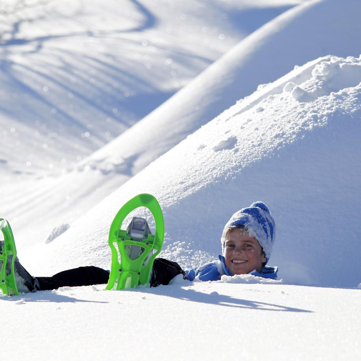 Raquettes | Site Officiel De La Chartreuse En Savoie Et Isère, Au Coeur ...