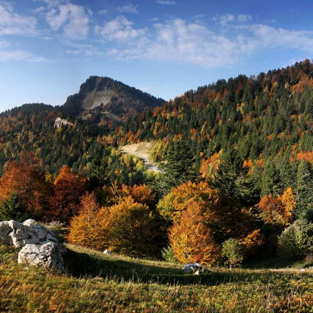 Col Des Ayes Automne