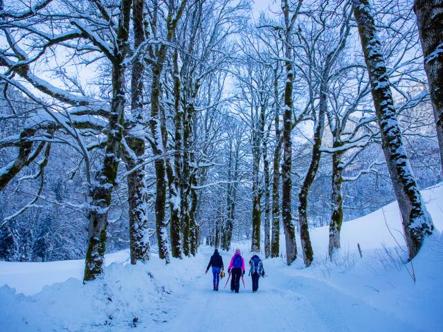 Route Du Monastère, Chartreuse