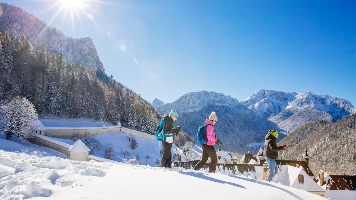 St Pierre de Chartreuse St Hugues Site Officiel de la Chartreuse en