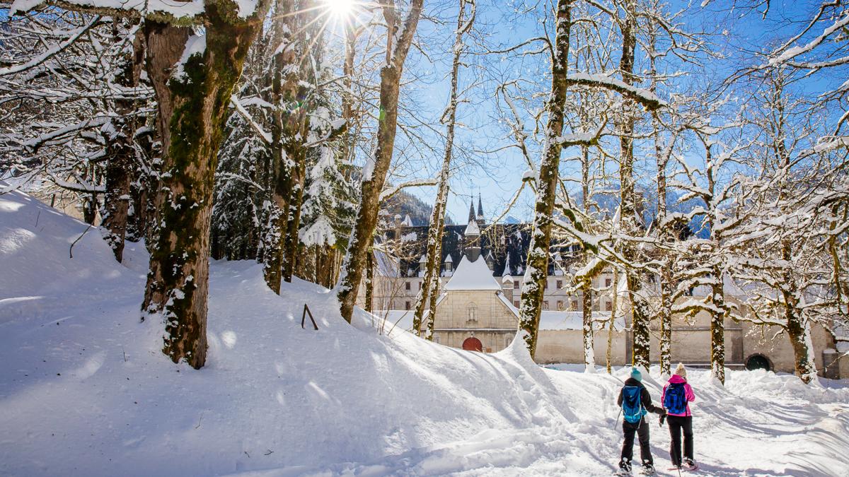 Nos 10 plus belles images de Chartreuse sous la neige Site Officiel