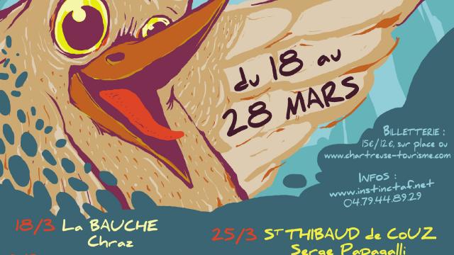Zygomatic2015 Affiche 3mo