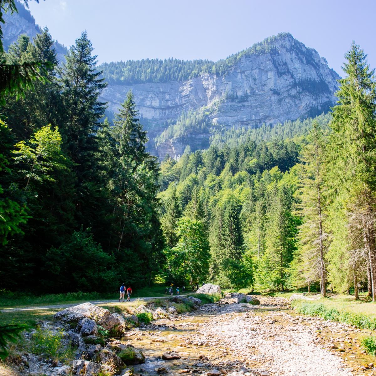 Les cascades du Cirque de St Même Site Officiel de la Chartreuse en