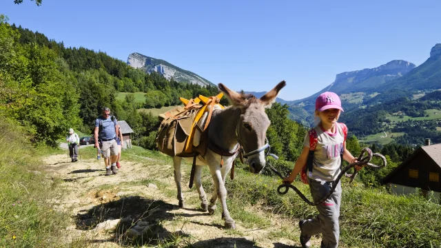 Randonner avec un âne
