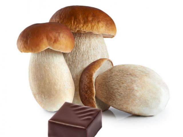 Chocolat Aux Cepes Sandrine Chappaz
