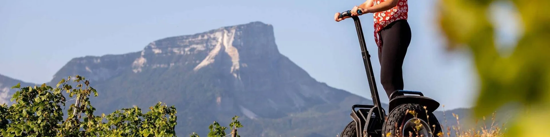 Segway Dans Les Vignes Chartreuse Porte De Savoie