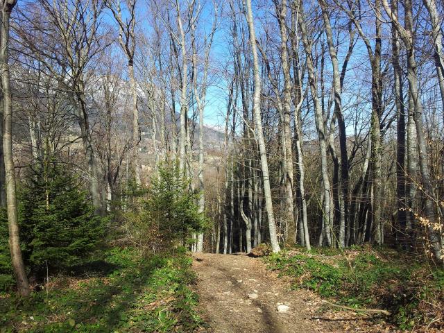 Sentier des Dioux