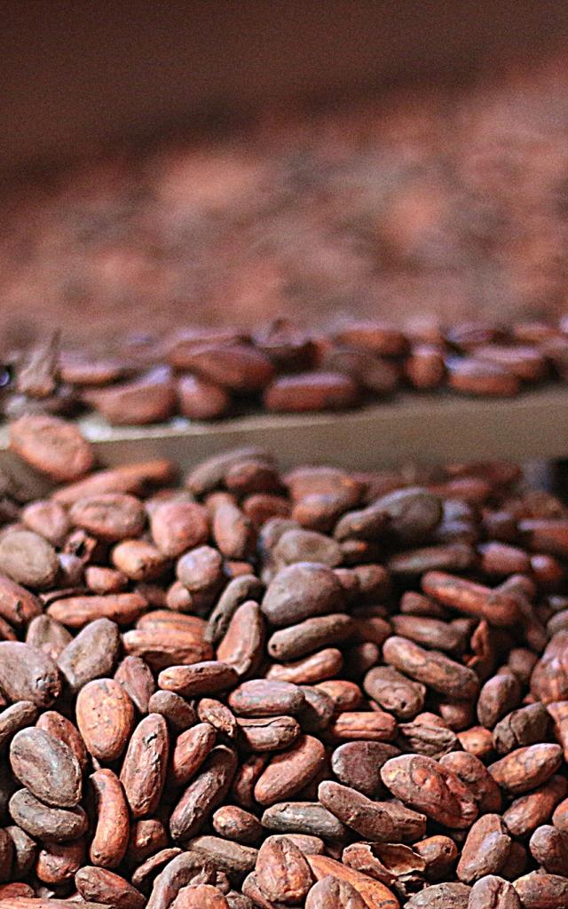 Bonnat Feves Cacao
