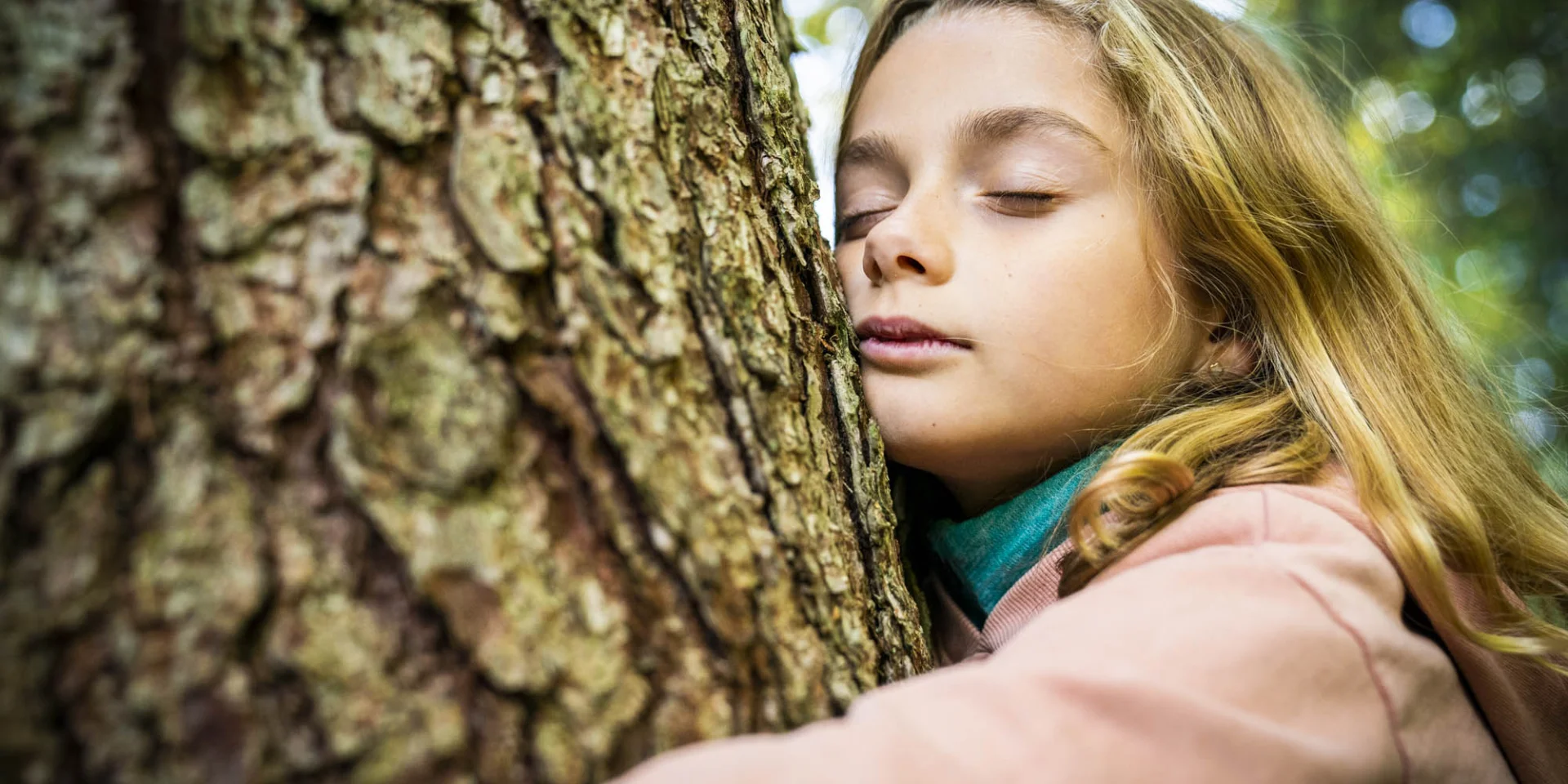 Bain De Foret Sylvotherapie