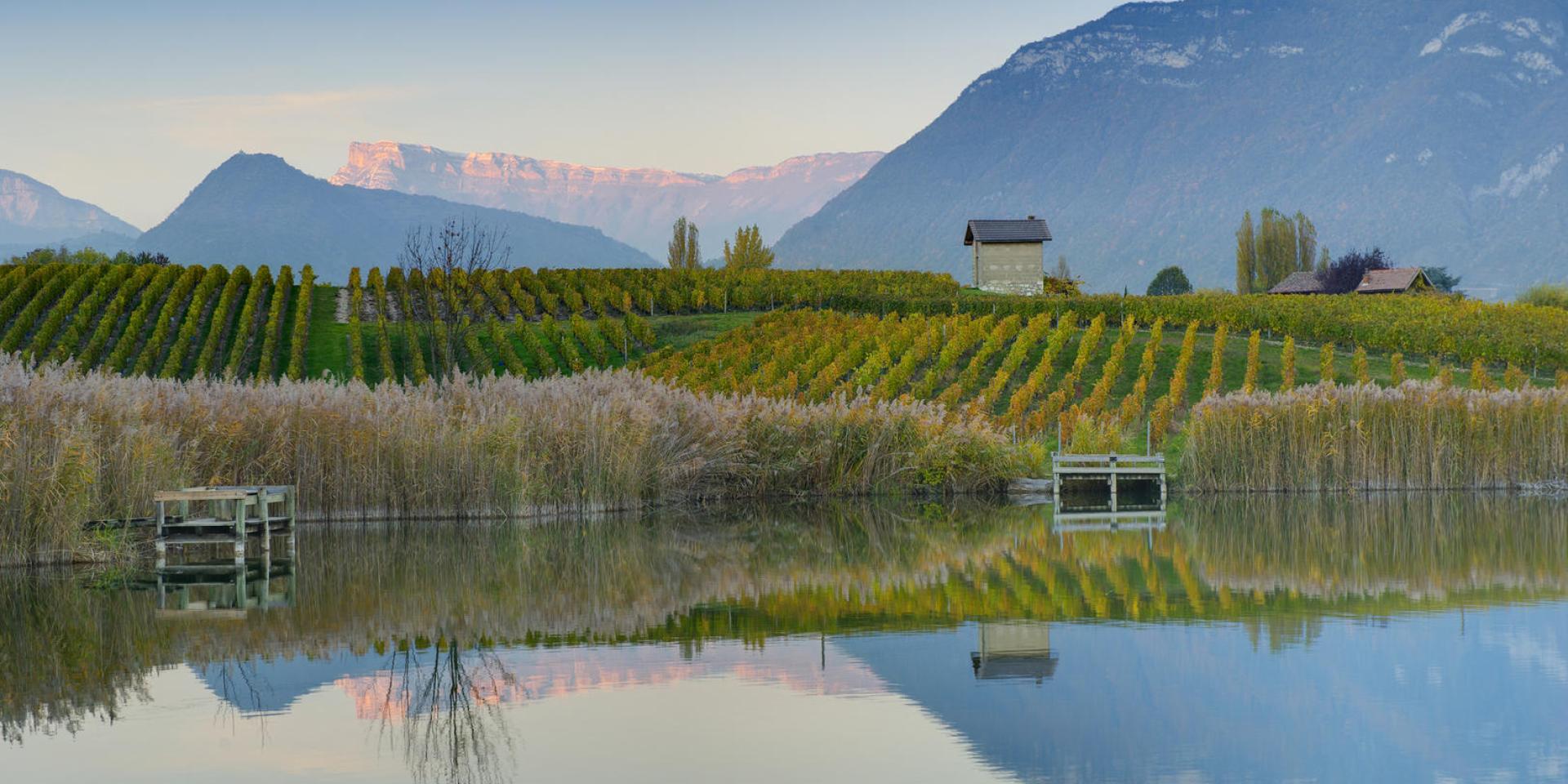 Vignobles et lac de Saint André