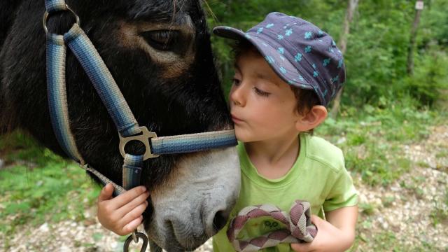Ferme des Allieres