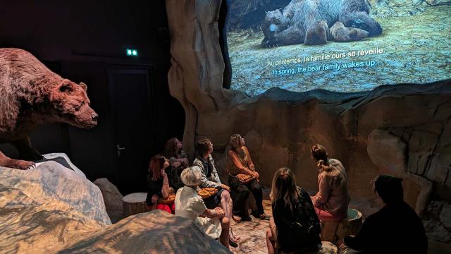 Spectacle Immersif du Musee Ours Cavernes